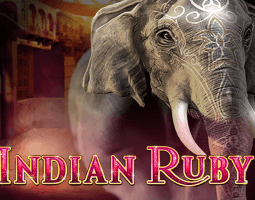 Indian Ruby kostenlos spielen Indian Ruby kostenlos spielen
