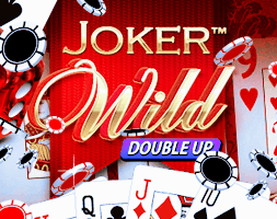 Joker Wild Joker Wild