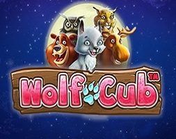 Wolf Club Online Kostenlos Spielen Wolf Club Online Kostenlos Spielen